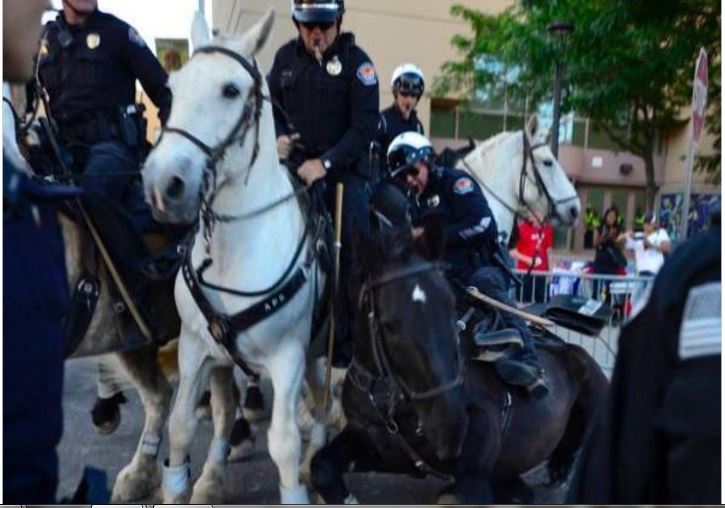 The communists protesting Trump; Update on Albuquerque’s police horses