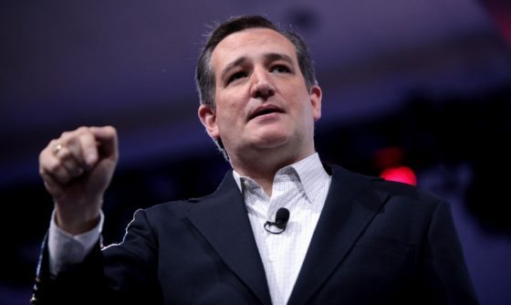 Ted Cruz Smacks Democrats For Hypocrisy… Defends Jeff Sessions… Laughs At Code Pink