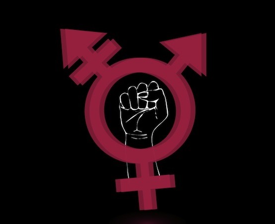 The Dark Forces Behind the Transgender Revolution