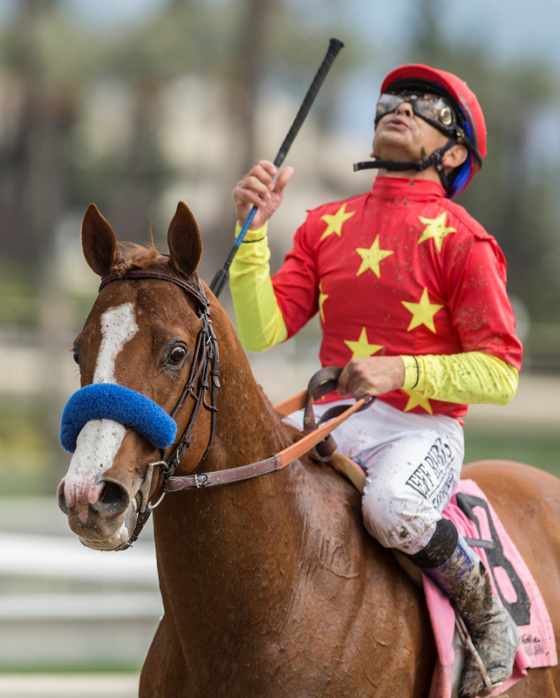 China and Soros Take the Fun Out of the Triple Crown?