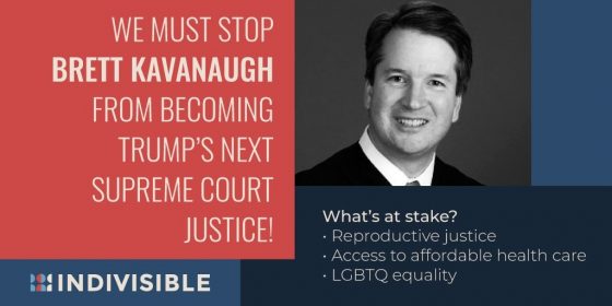 Indivisible vs. Trump, Immigration and Kavanaugh