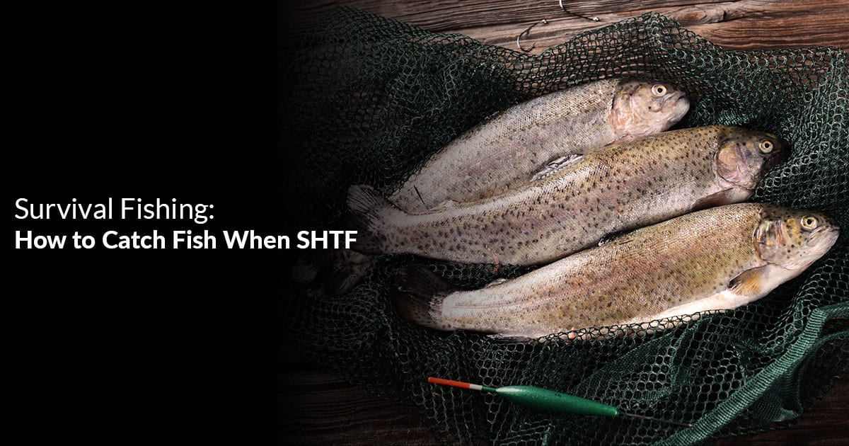 Survival Fishing: How to Catch Fish When SHTF