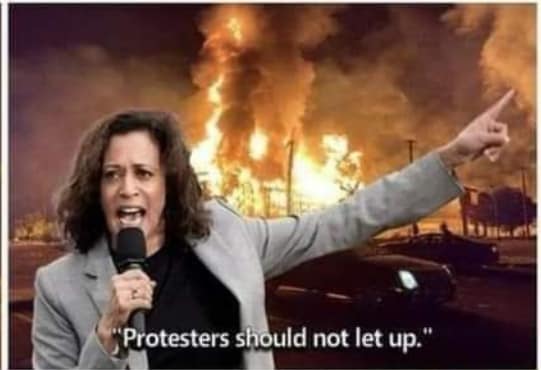 Impeach Kamala Harris For Inciting Riots Not Donald Trump