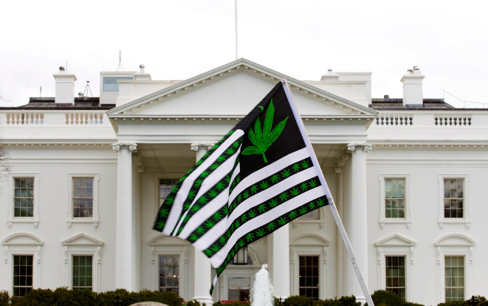 Marijuana Madness in the White House