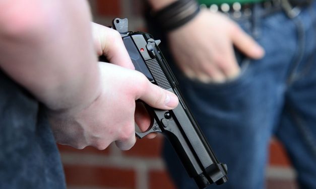 Concealed Carry Crime Stats 2024: The Impact of Open Carry on Crime in the U.S.