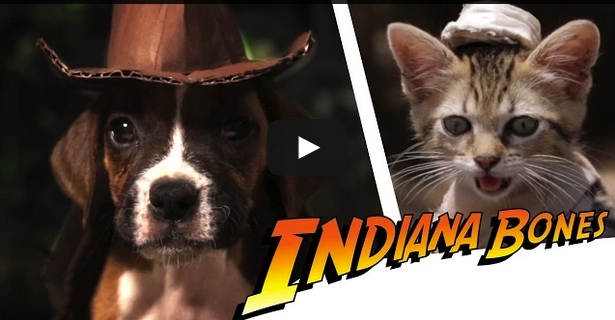 Indiana Bones – Raiders of the Lost Bark