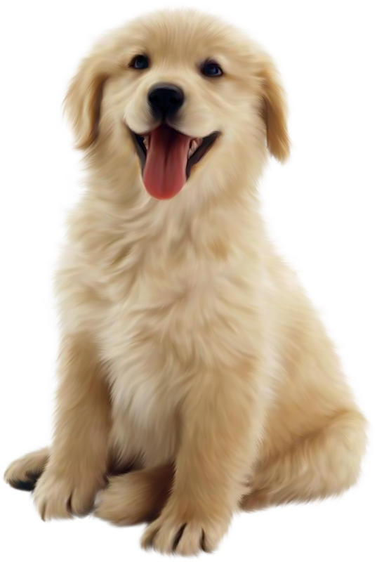 Who would you save? Some Human or YOUR Dog?