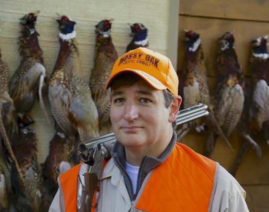 Cruz Commander