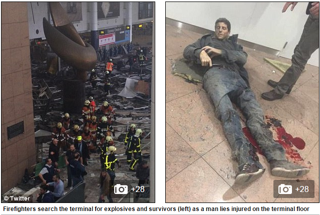 Brussels7