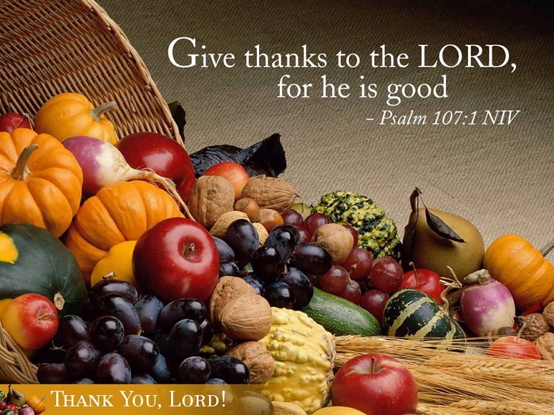 Are we celebrating Thanksgiving or Black Friday?