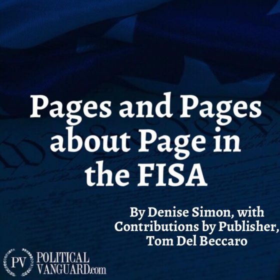 Pages And Pages About Page In The FISA Application