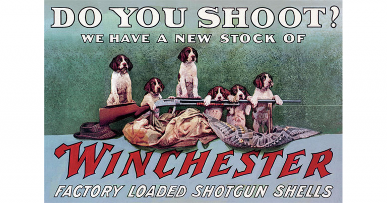 Gunshots and Chirping Crickets