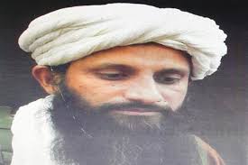 U.S. Killed AQ Leader in a Taliban Stronghold