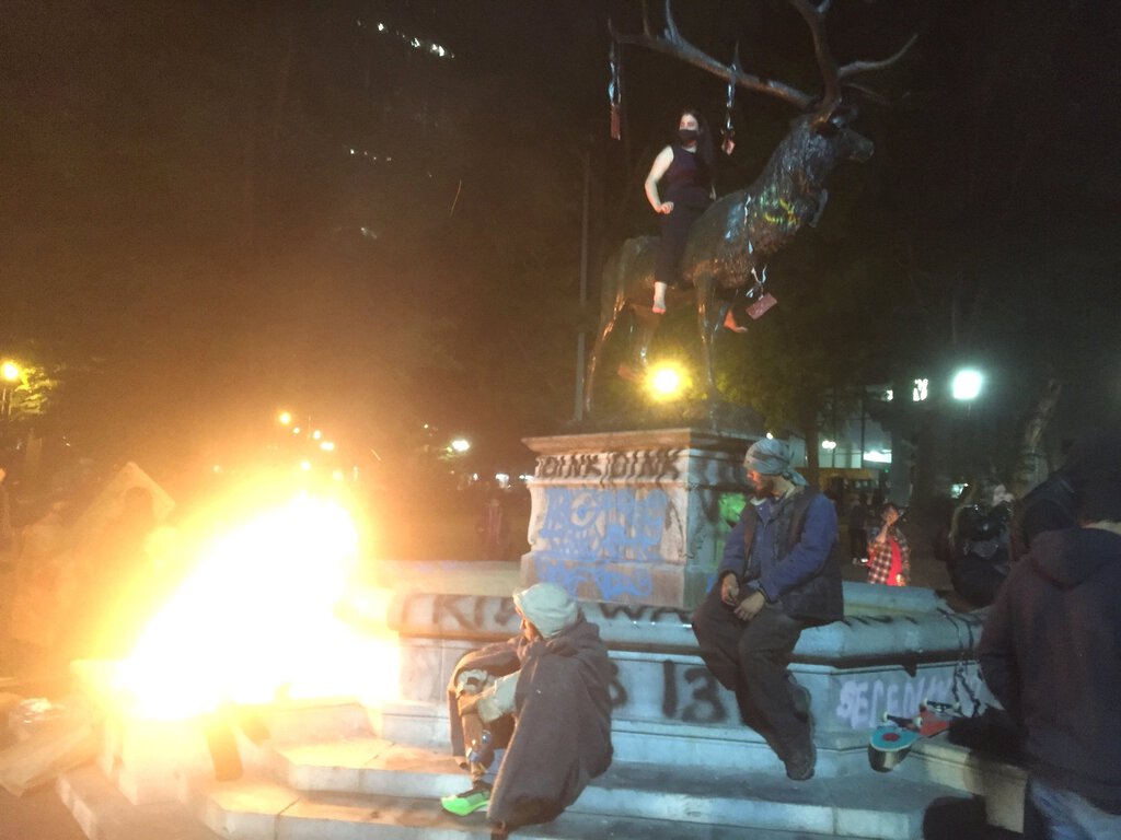 Have You Heard About the Youth Liberation Front?