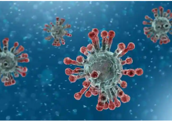 Was the MERS Virus a Model for the Creation of COVID-19?