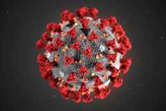 COVID Pandemic Warning of Totalitarian Control