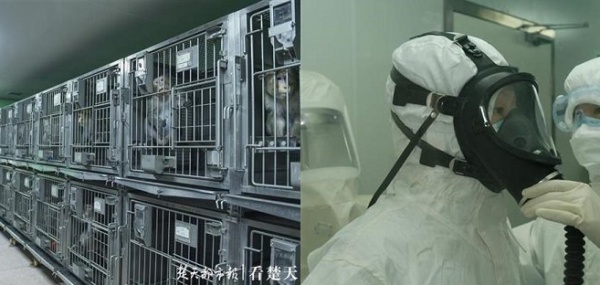 Is Wuhan University’s Animal Laboratory the Origin of the COVID-19 Pandemic?