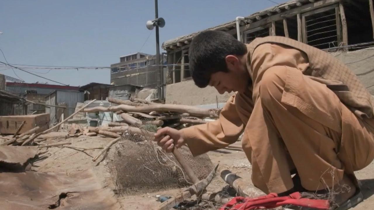 The U.S. has Frozen $9.5 Billion in Assets Belonging to Afghanistan Central Bank