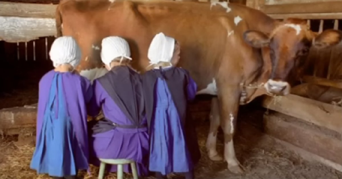 The FDA Dispatched US Marshals to Shutdown an Amish Rancher