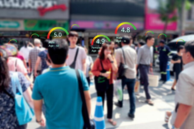 Sustainable Development: ESG and Social Credit Scores