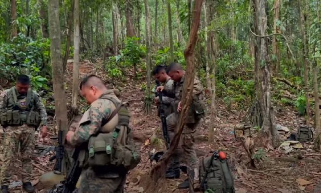 Once Again a Terror Plot in Latin America