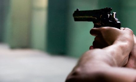 Gun Control Laws and Enforcement Trends 2024