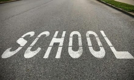 Gun-Free School Zones & Shootings Statistic (2024 Updated)
