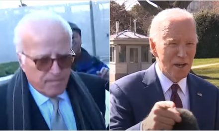The Bidens, a hospital chain and Americore