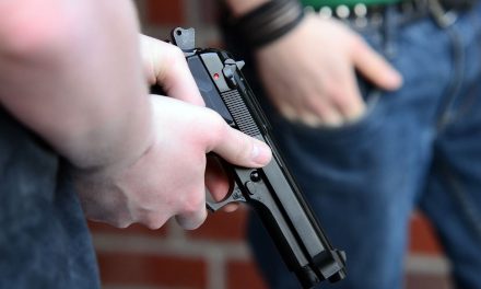 Why Do Americans Own Guns in 2024? The Complexity of Demographics and Gun Ownership