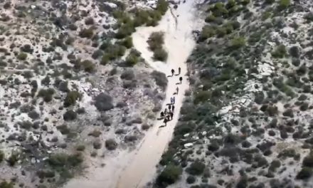 What About Those Chinese Illegally Crossing Our Borders?