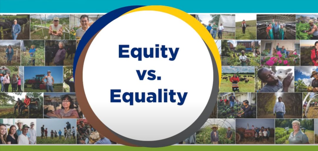 EQUITY VS. EQUALITY? (PART FIVE OF A DEI TRIPLE TRILOGY)