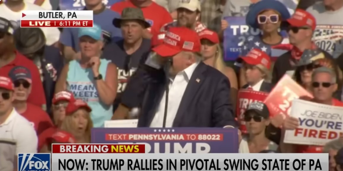 How the Deep State Arranged the Hit on Trump
