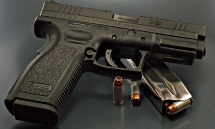 How Many Households in the U.S. Have a Gun in 2024?
