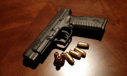 Gun Ownership by Political Party: A 2026 Analysis