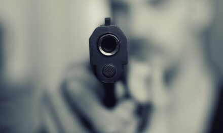 Gun Deaths in the US: Analyzing At-Risk Demographics in 2024