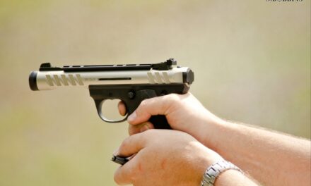 Why Do Americans Own Guns in 2025? The Complexity of Demographics and Gun Ownership