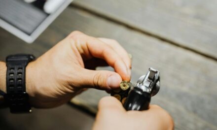 Gun Laws vs. Crime Rates in 2024: A Comprehensive Analysis