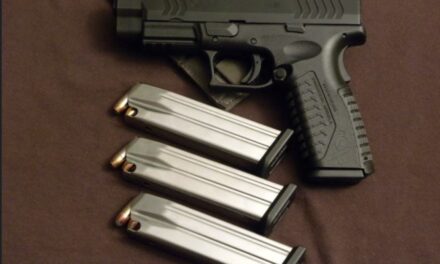 How Many Guns in the U.S.: All About America’s Firearms in 2024