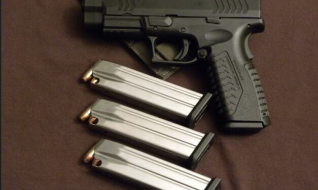 How Many Americans Want Stricter Gun Laws in 2025? The Decline in Gun Control Support