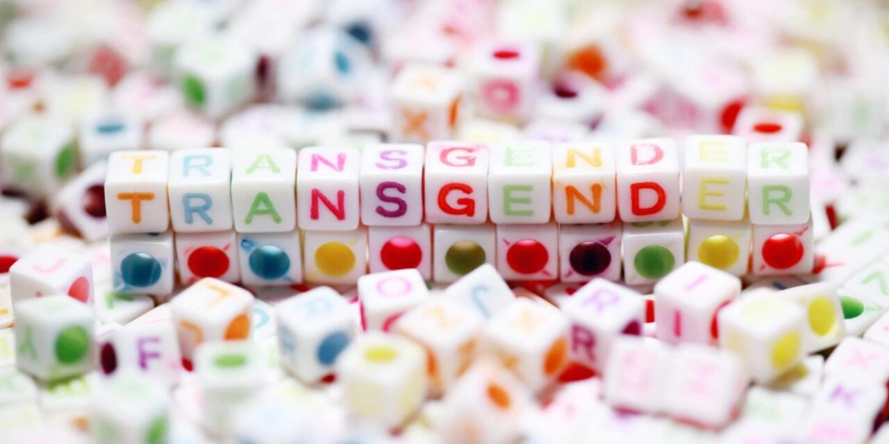 TRANSGENDER SOPHISTRY – PART TWO: WHEN WORDS FAIL THE WOKE
