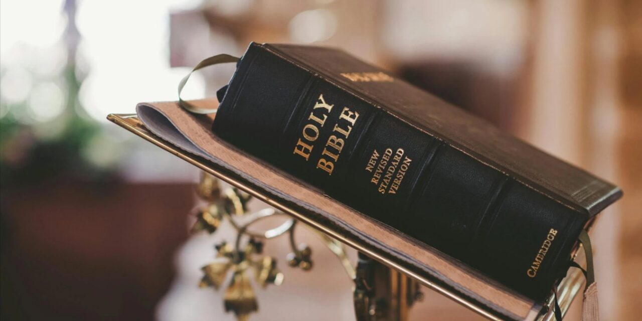 TRANSGENDER SOPHISTRY – PART THREE: CURIOUS BIBLICAL PARALLELS?