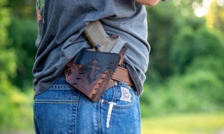 Gun Facts in the U.S. 2024: The Reality of Firearms in America