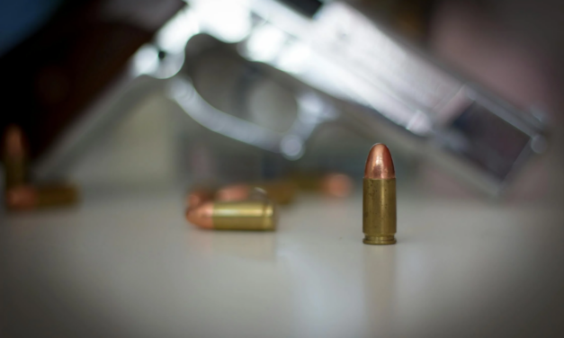 Stray Bullet Deaths: Accident and Injury Statistics in September 2024