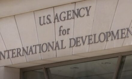 Child Sex Traffickers and Non-Governmental Organizations