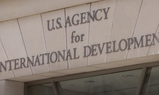 Child Sex Traffickers and Non-Governmental Organizations