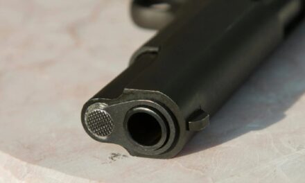 What Percentage of Gun Deaths are Suicides? Firearm-Death Statistics in the U.S. (2025)