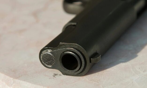 What Percentage of Gun Deaths are Suicides? Firearm-Death Statistics in the U.S. (2025)