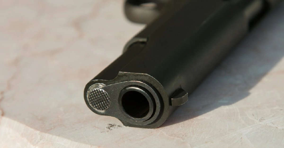 What Percentage of Gun Deaths are Suicides? Firearm-Death Statistics in the U.S. (2025)