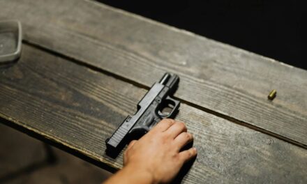 Stolen Gun Statistics 2026 (Recover Rates & Crime Usage)