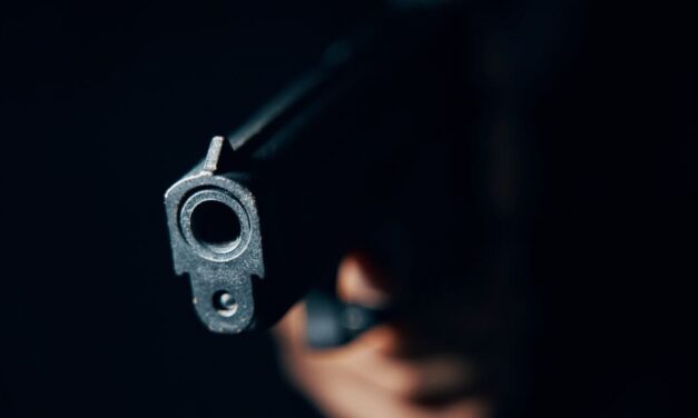 Gun Ownership by State (2026 Statistics)